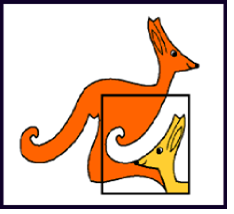 kangurek